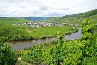 Mosel fließt durch Rheinland-Pfalz