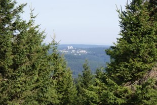 Wald in Thüringen - Blick auf Oberhof