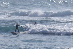 Surfer auf den Kanaren