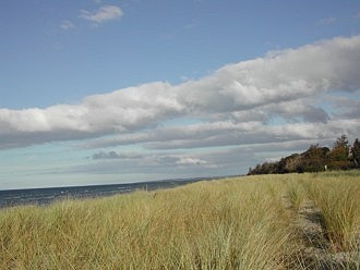 Dünenlandschaft am Ostseestrand